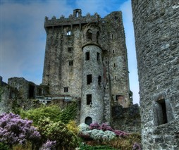 Castle in  Ireland
